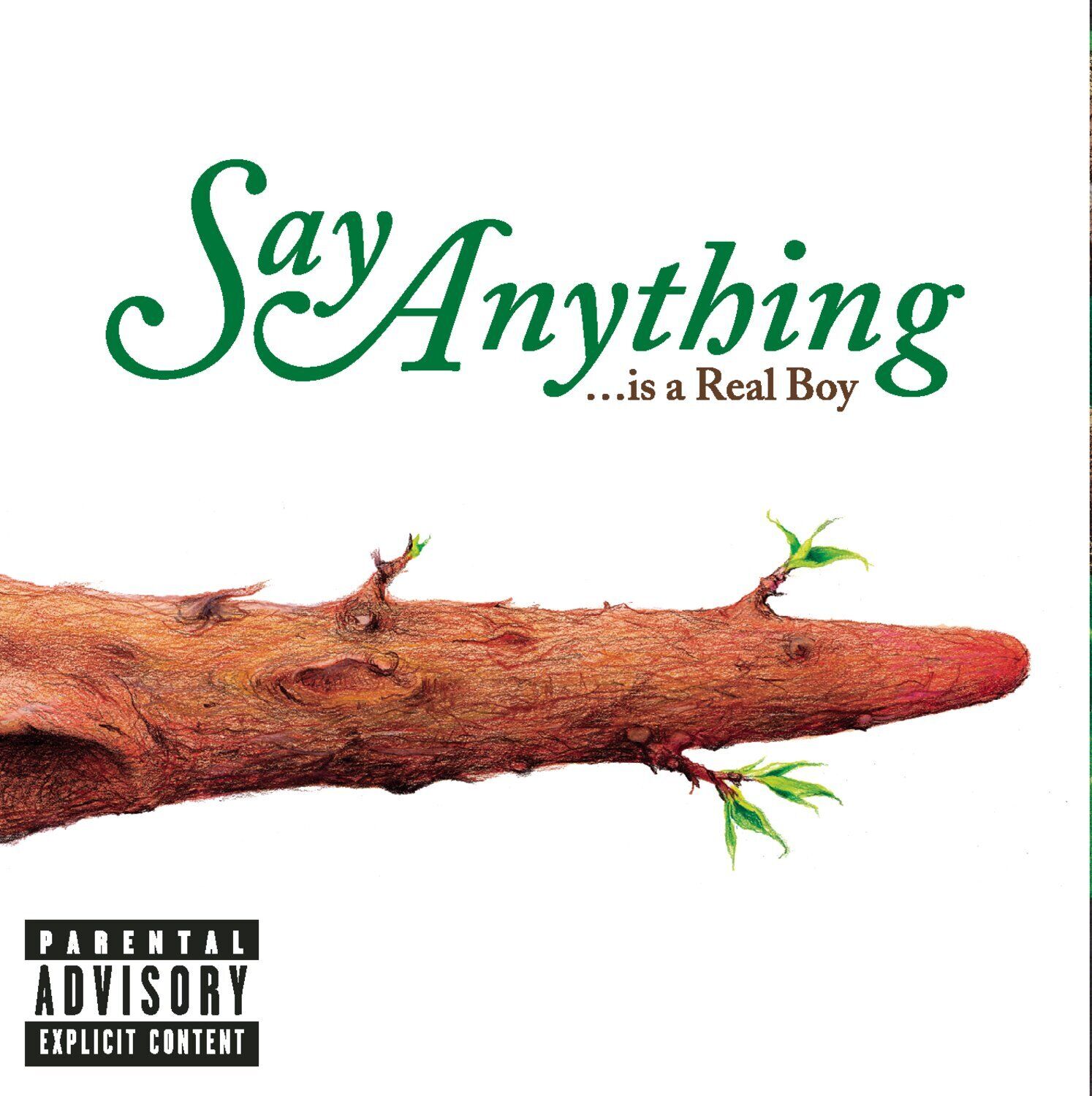 Say Anything Is a Real Boy St (CD)