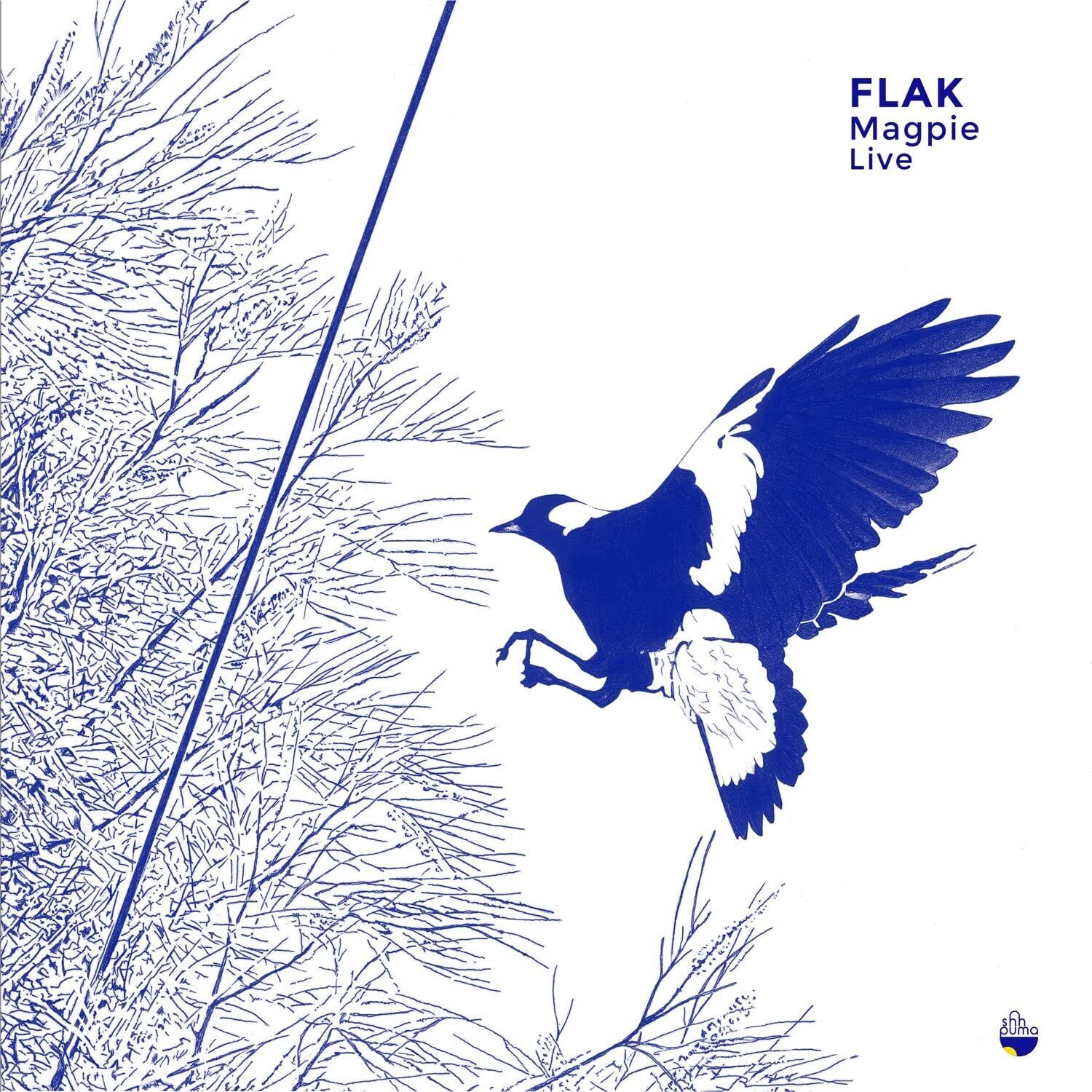 Rui Alves Magpie Live (CD)