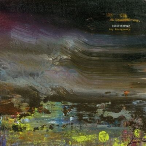 Roy Montgomery Audiotherapy (Vinyl LP) 12" Album