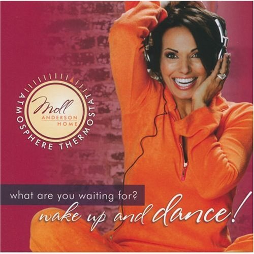 VARIOUS V/A-WAKE UP AND DANCE!-C C Music Factory,Peaches Herb,Diana Ross,Ch (CD)