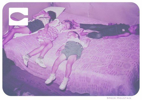 Speck Mountain Blood Is Clean (Vinyl LP)