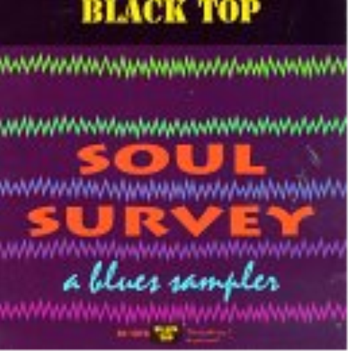 Va-Soul Survey Soul Survey: A Blues Sampler (CD)