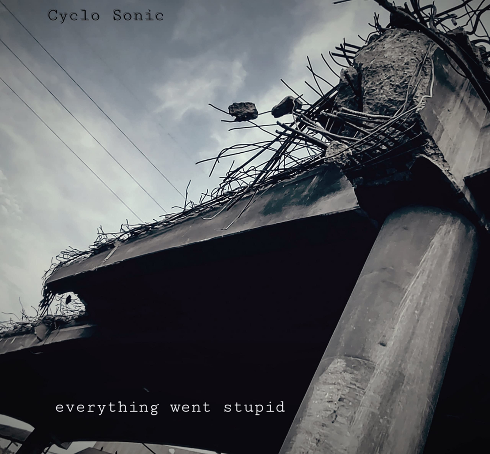 Cyclo-sonic Everything Went Stupid (Vinyl LP)