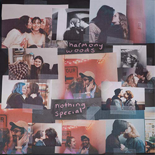 Harmony Woods Nothing Special (Vinyl LP) 12" Album