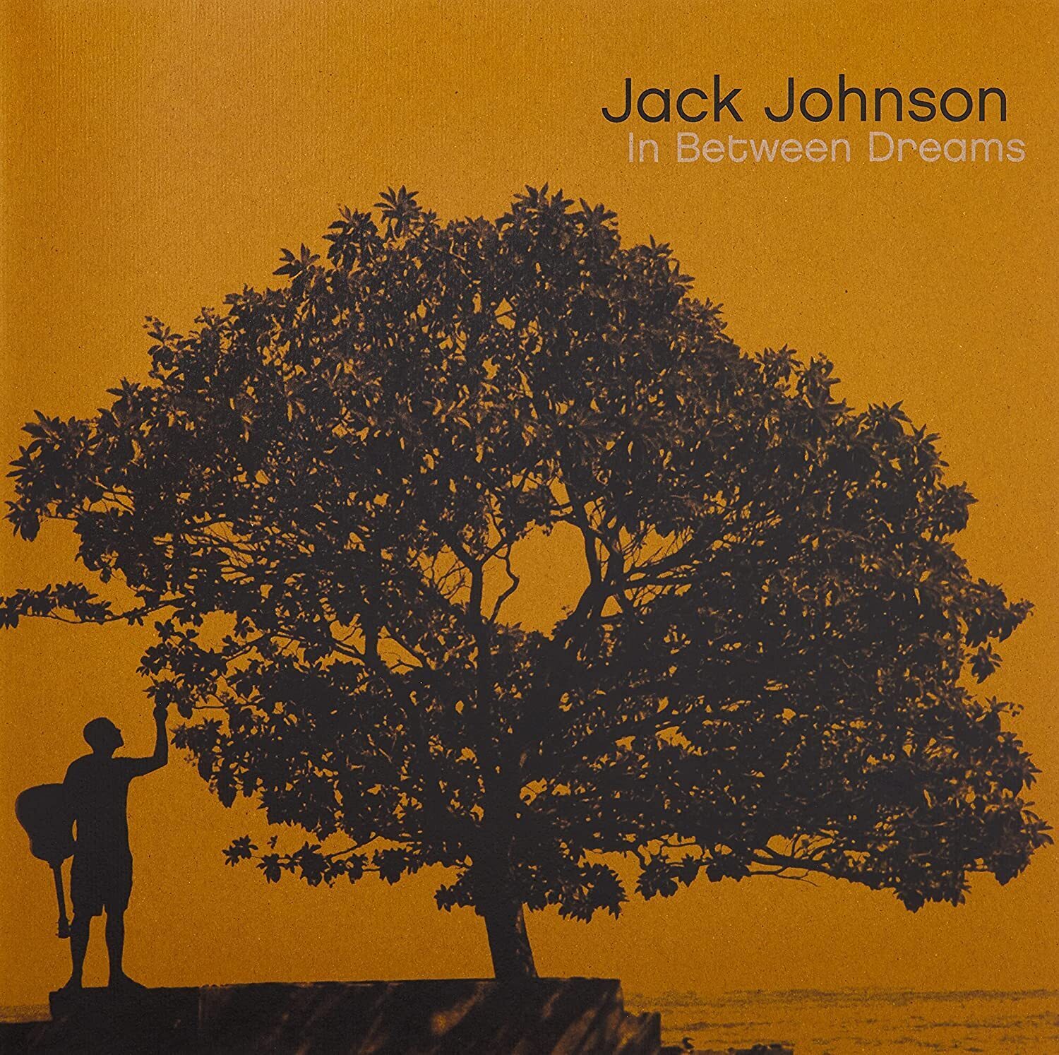 Jack Johnson In Between Dreams (Vinyl LP) 12" Album