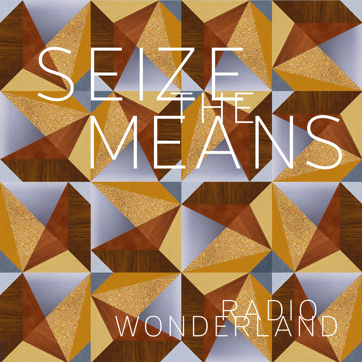 Radio Wonderland Seize the Means (Vinyl LP) 12" Album