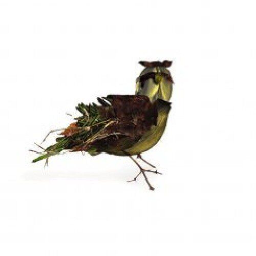 Tallest Trees Ostrich or the Lark (CD)