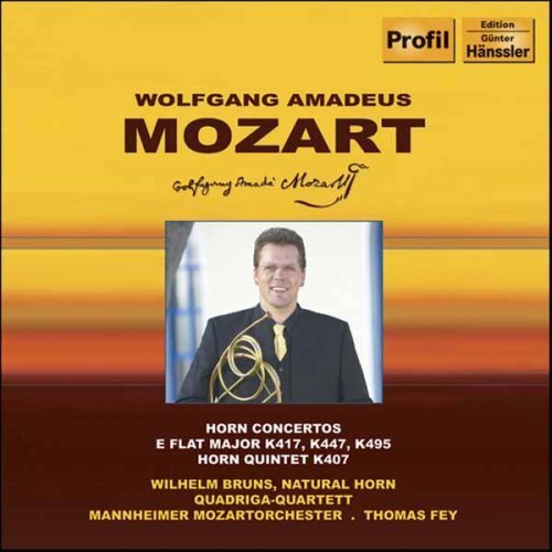 Bruns/Fey/Mannh. Mozartorch. Horn Concertos (Fey, Bruns, Quatuor Quadriga) (CD)