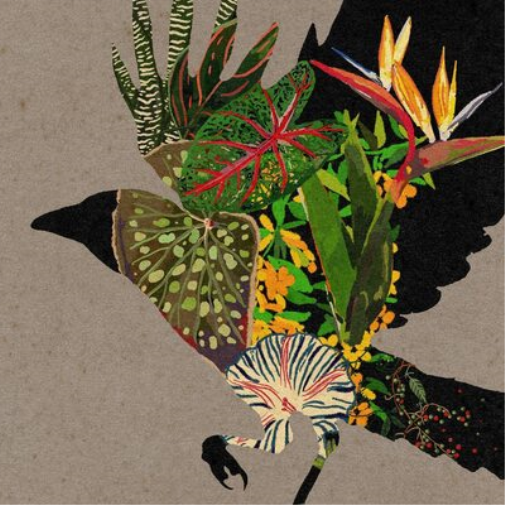 Various Artists @0: Curated and Mixed By Coldcut and Mixmaster Morris (Vinyl LP)