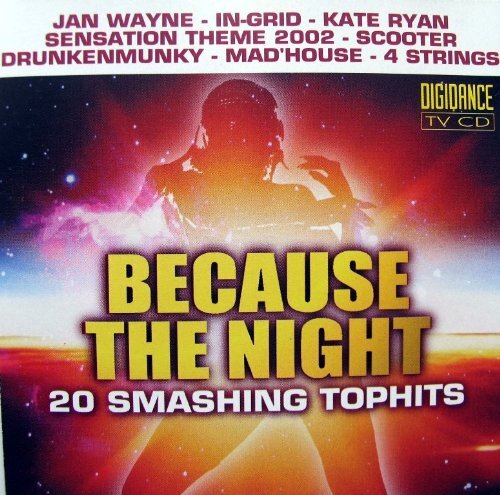 Various Because the Night (CD)