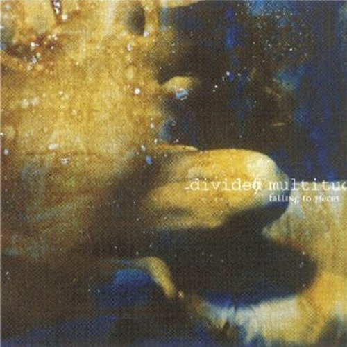 Divided Multitude - Falling To Pieces CD NUOVO