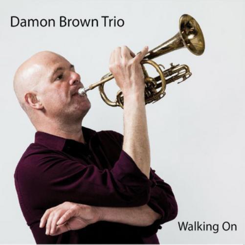 Damon Brown Walking On (CD) Album