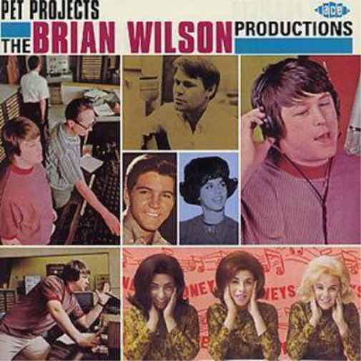 Various Artists Pet Projects Brian Wilson (CD) Album
