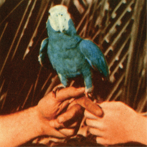 Andrew Bird Are You Serious (CD) Album