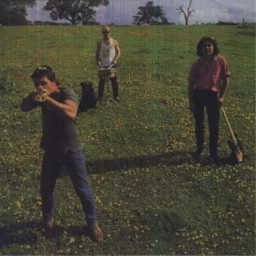 Cosmic Psychos Down On the Farm (Vinyl LP) 12" Album