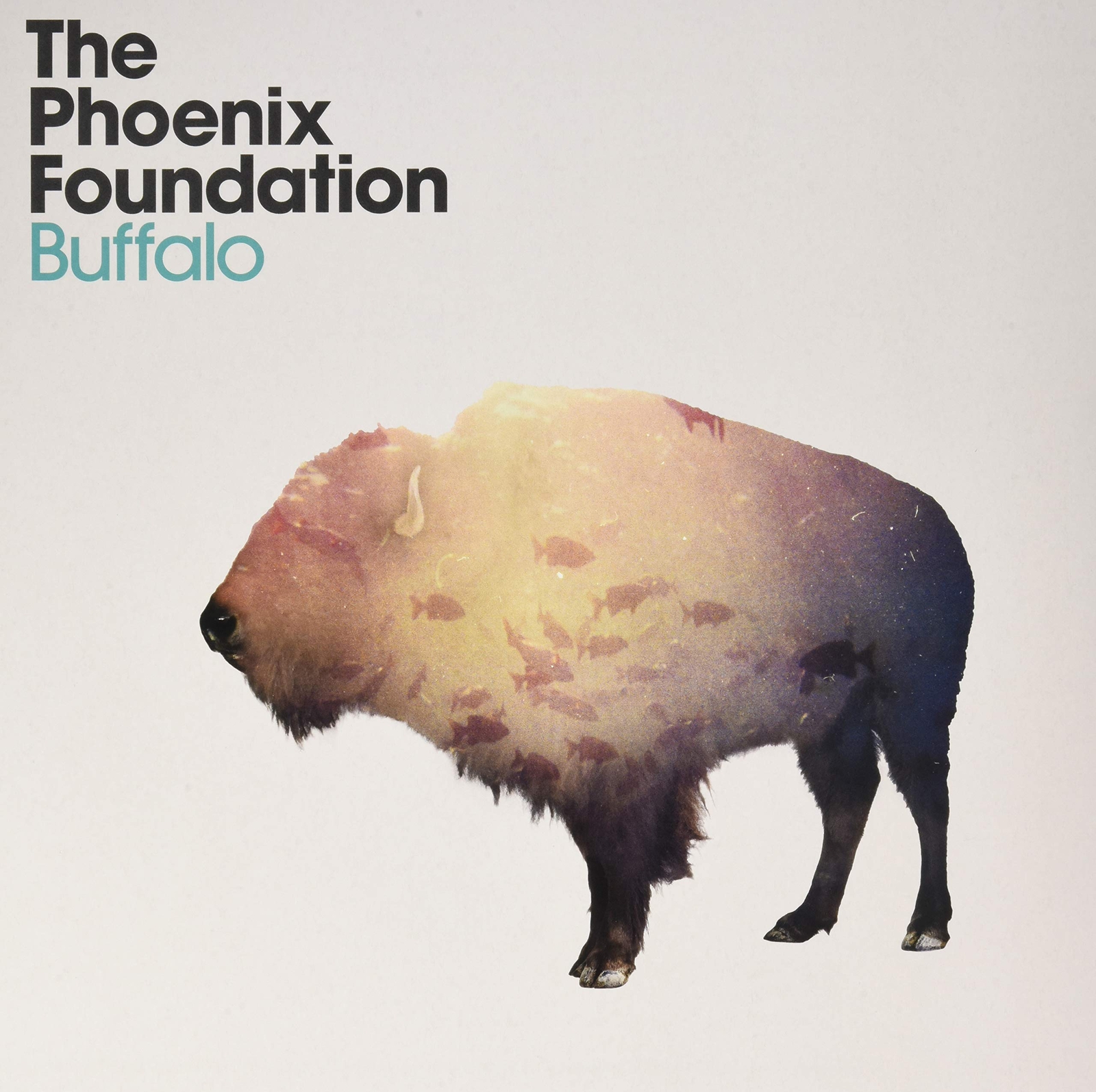 Phoenix Foundation,the Buffalo (Orange Colored) (Vinyl LP)