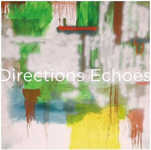 Directions Echoes (Vinyl LP) Anniversary  12" Single Coloured Vinyl