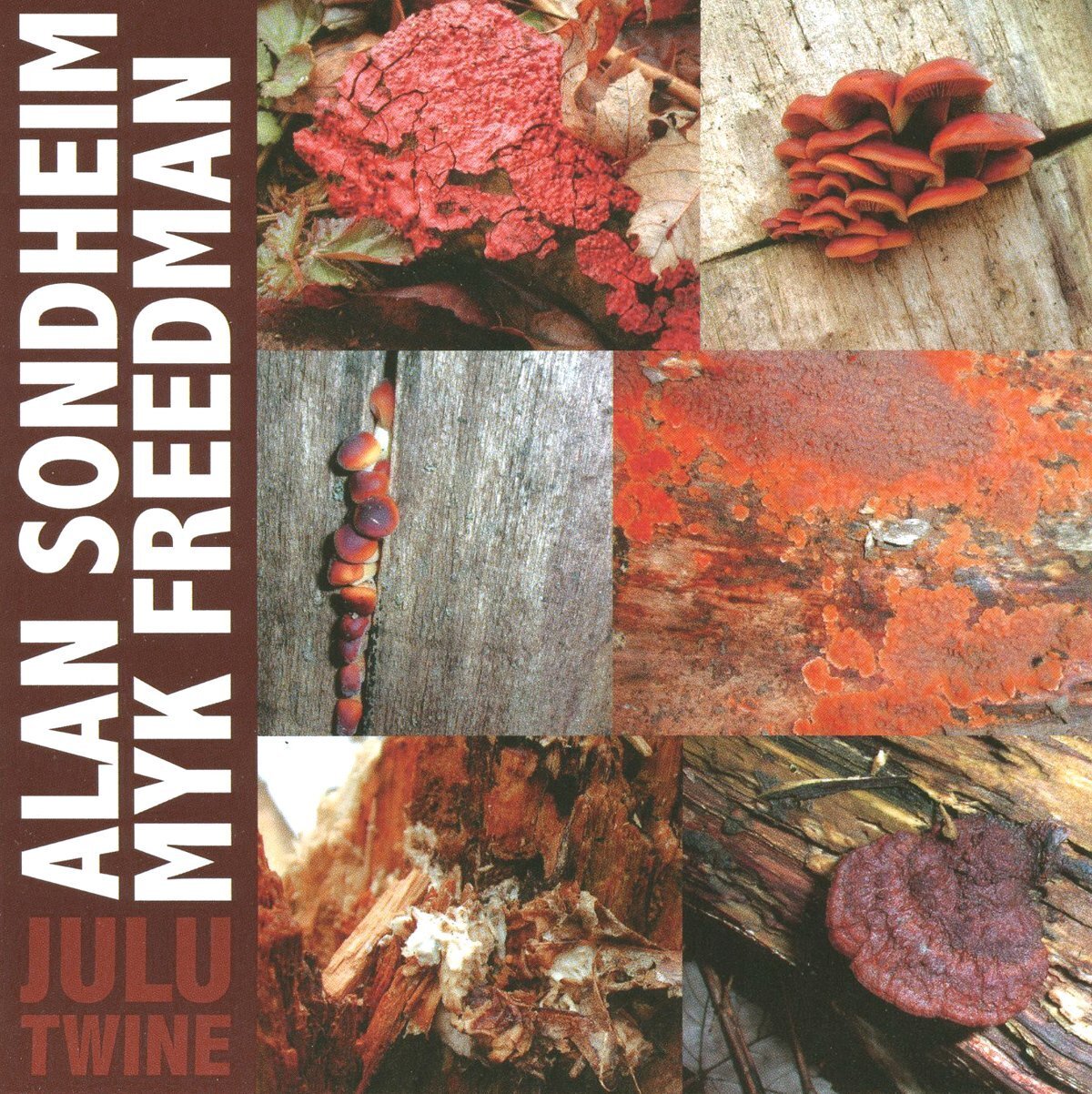 Alan Sondheim Myk Freedman: Julu Twine (CD)