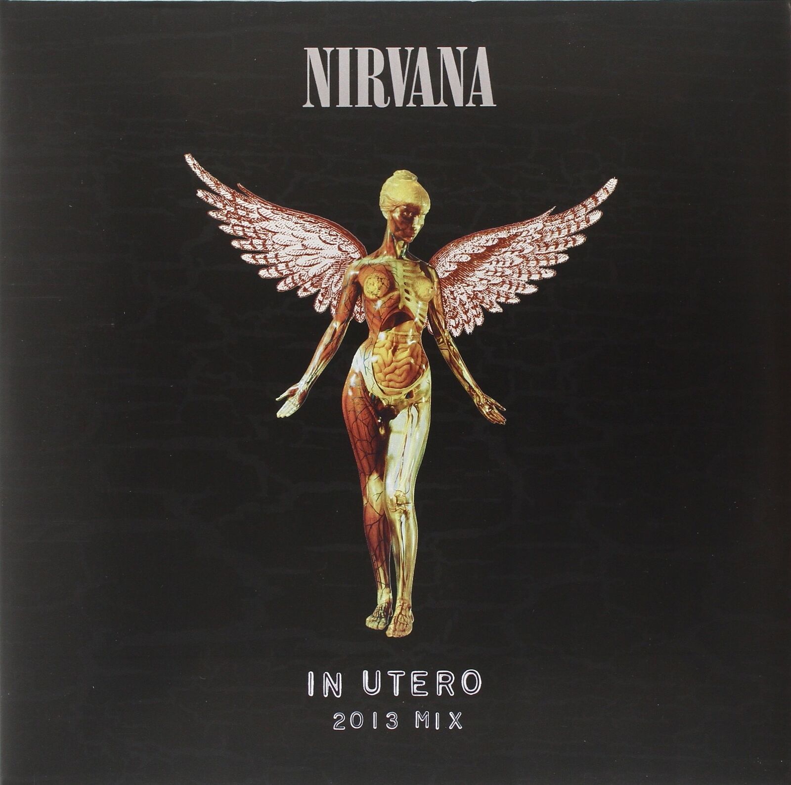 Nirvana In Utero (Aniv) (Vinyl LP)