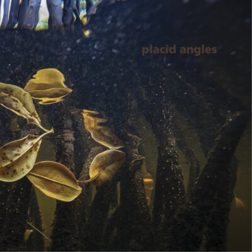 Placid Angles Touch the Earth (Vinyl LP) 12" Album Box Set