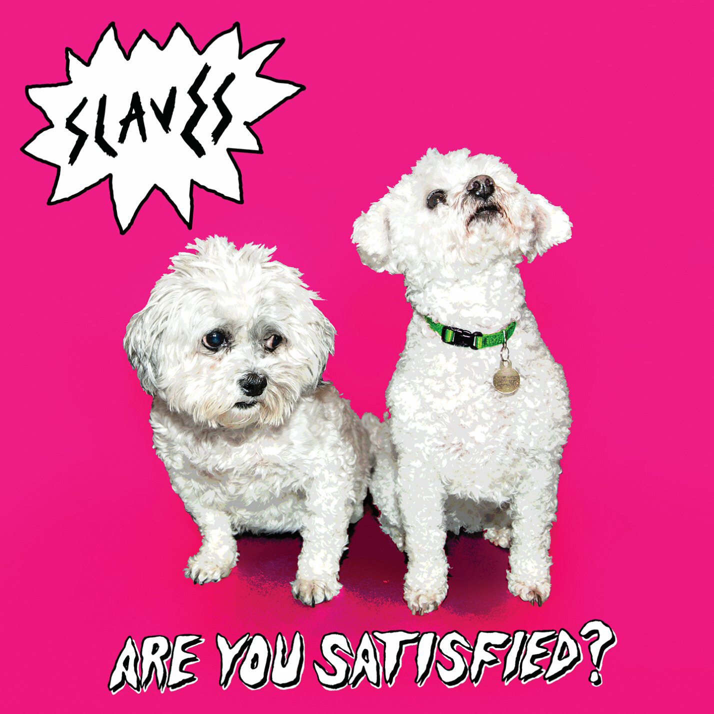 Slaves Are You Satisfied? (Vinyl LP) 12" Album