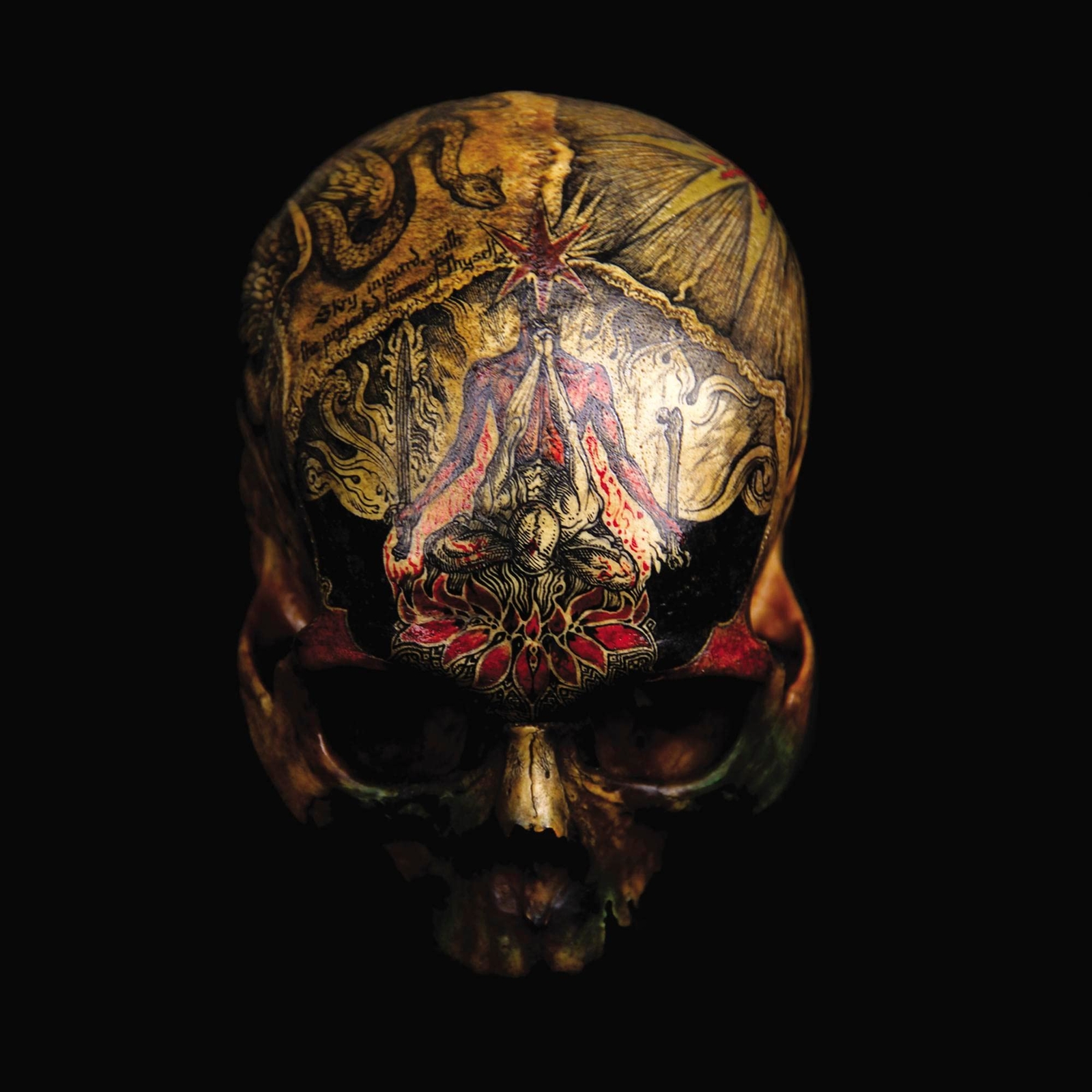 Blight Temple of Wounds (Red) (Vinyl LP)