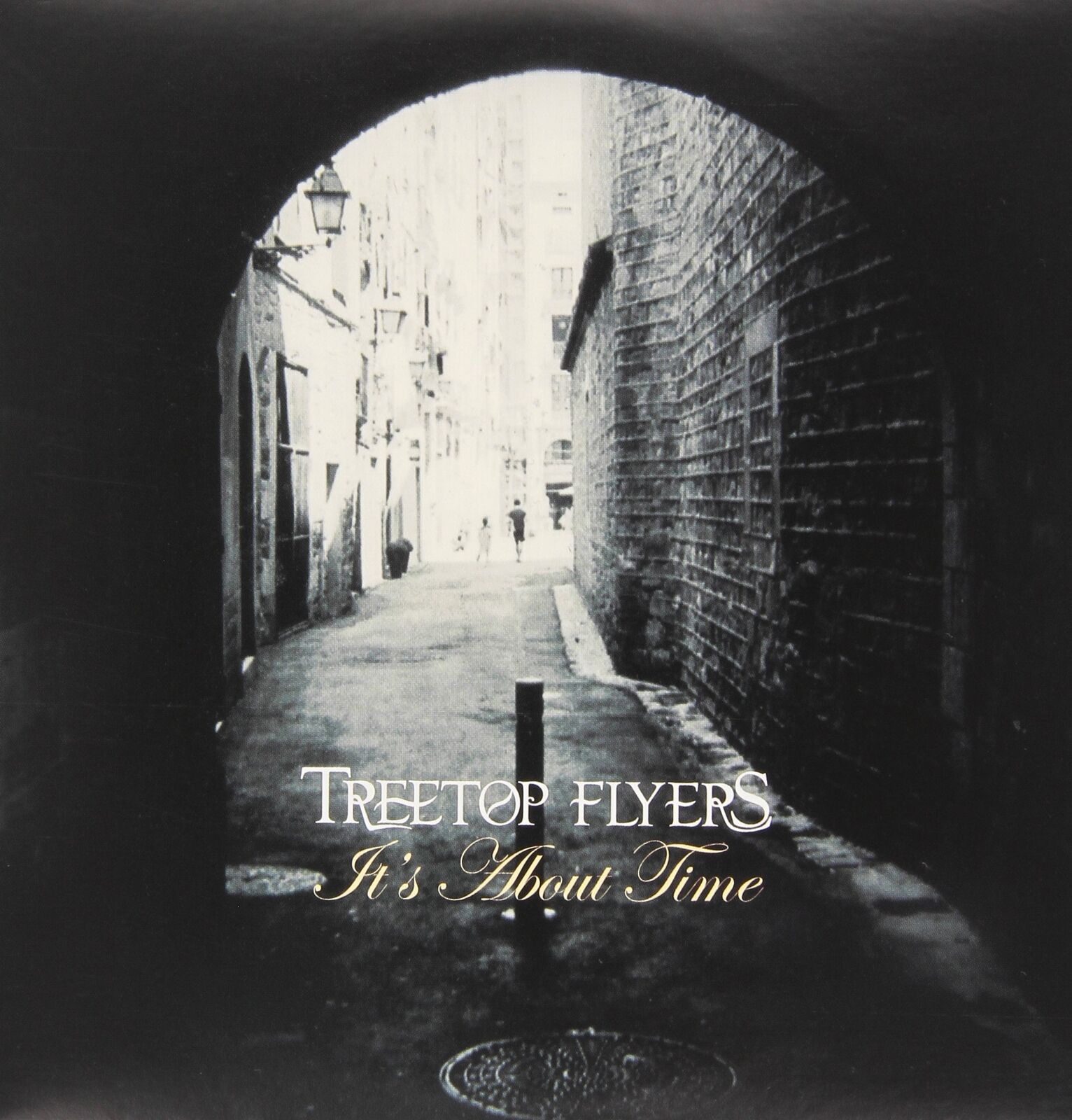 Treetop Flyers It's About (Vinyl LP)