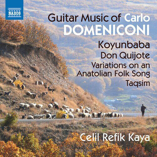 Carlo Domeniconi Carlo Domeniconi: Guitar Music (CD) Album