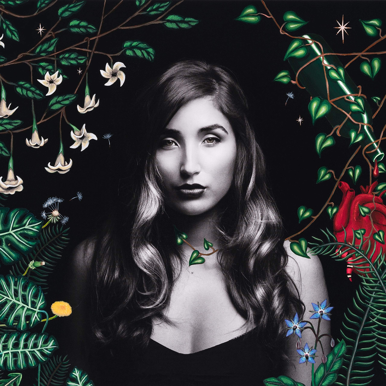 Jade Jackson Wilderness (CD)