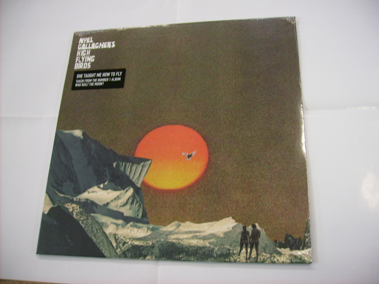 NOEL GALLAGHER - SHE TAUGHT ME HOW TO FLY - 12" BLACK VINYL NEW SEALED 2018