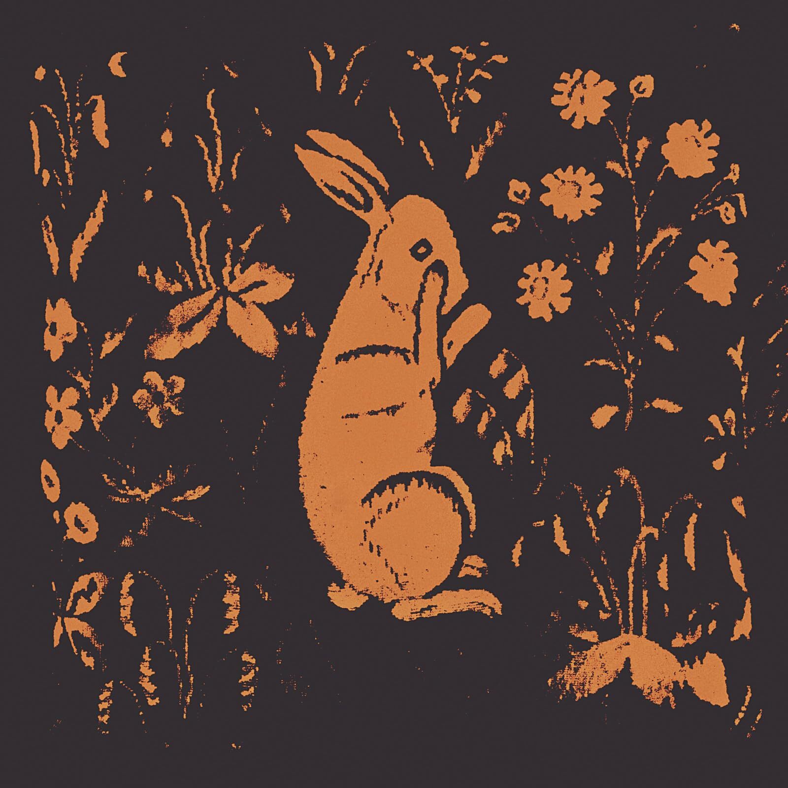 Sadness Rabbit Album (Vinyl LP)