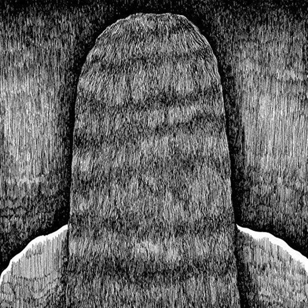 Furrier - Lp (Vinile)