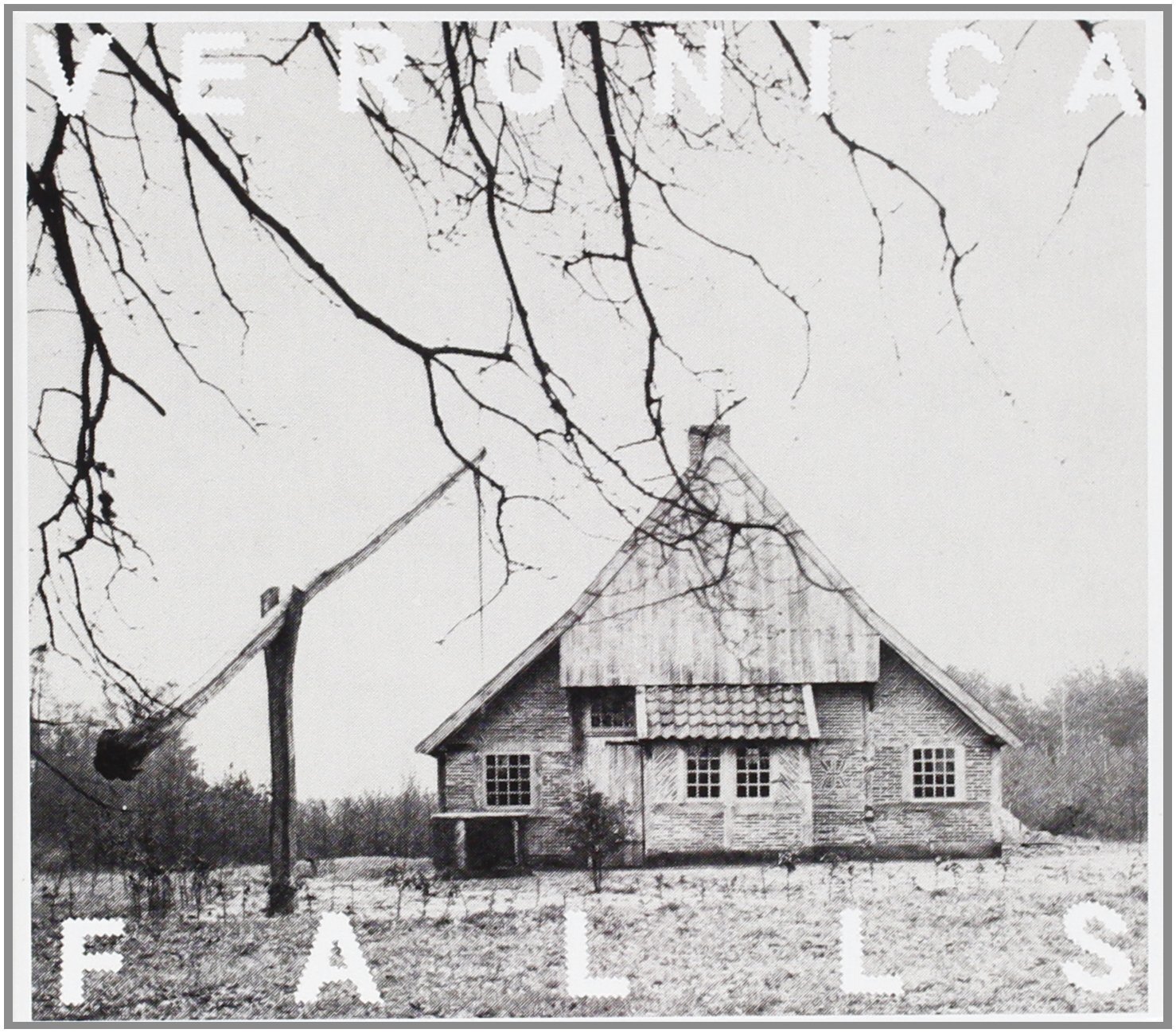 Veronica Falls Veronica Falls  (CD)