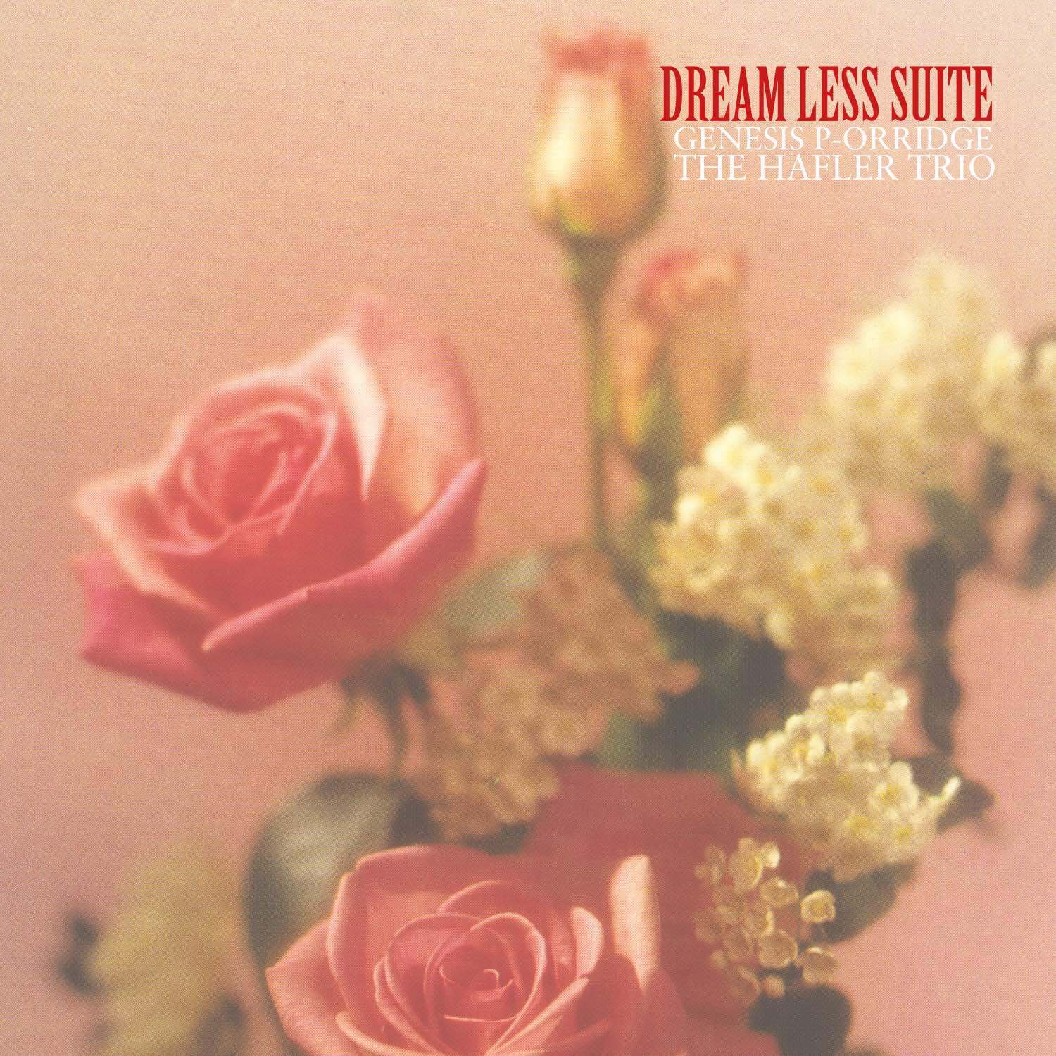 Genesis P-Orridge & The Hafler Trio Dream Less Suite (Vinyl LP) 12" Album