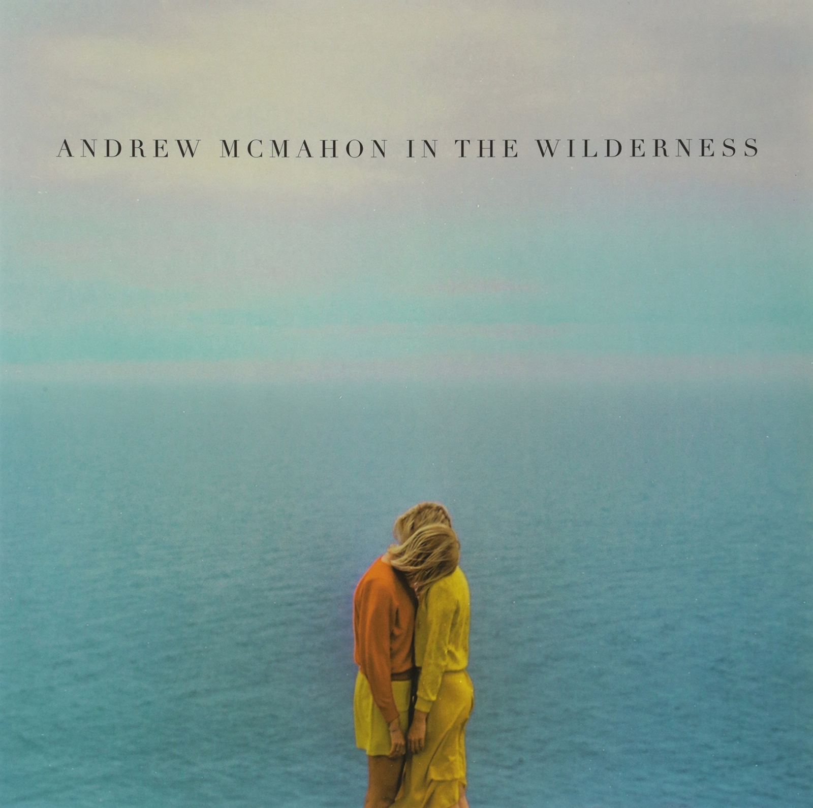 Andrew McMahon in the Wilderness Andrew McMahon In The Wilderness (Vinyl LP)