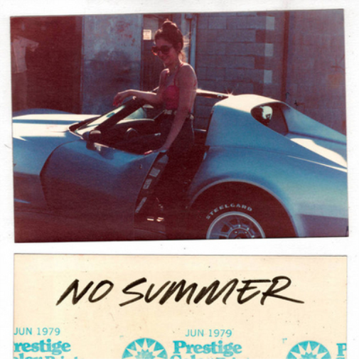 No Summer No Summer (Vinyl LP) 12" Album