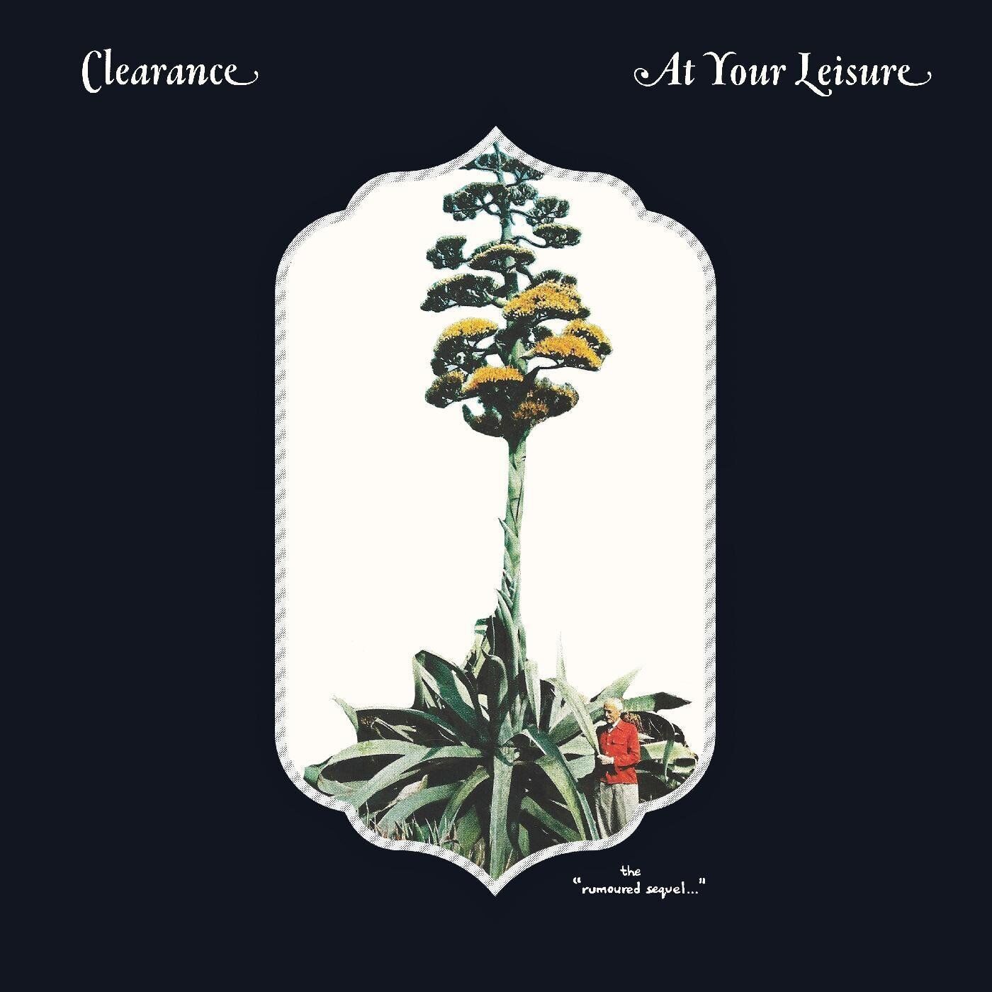 CLEARANCE At Your Leisure (Cassette)