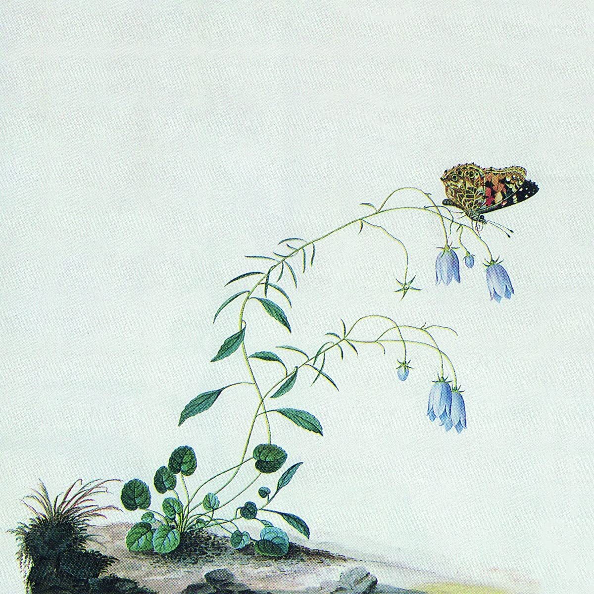Botanist I: the Suicide Tree/II: a Ro (Vinyl LP)