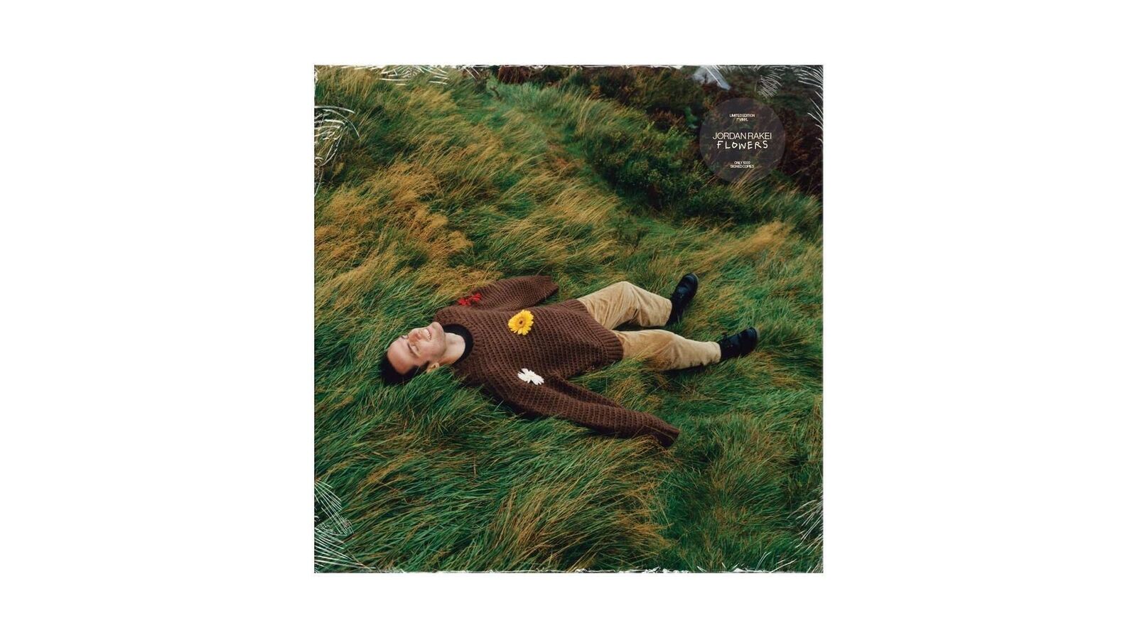 Jordan Rakei Flowers (Vinyl LP) 7" Single (Limited)
