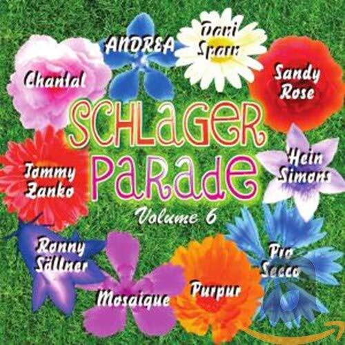 Various Schlagerparade Vol.6 (CD)