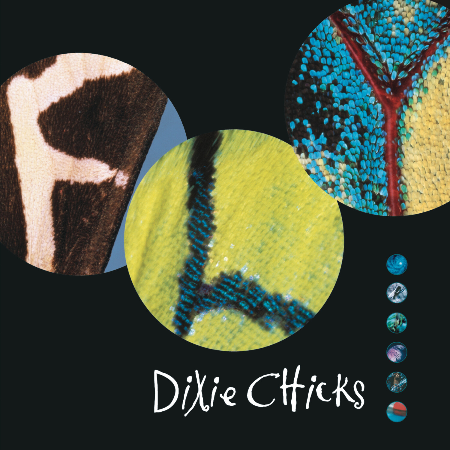 The Chicks Fly (Vinyl LP) 12" Album