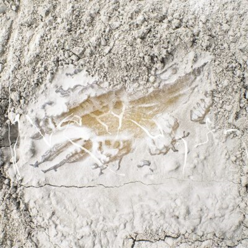 Jonathan Kawchuk Everywhen (CD) Album
