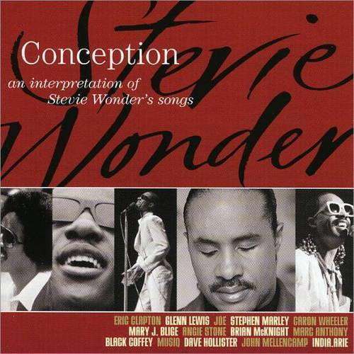 VARIOUS CONCEPTION Interpretation of STEVIE WONDER'S CD