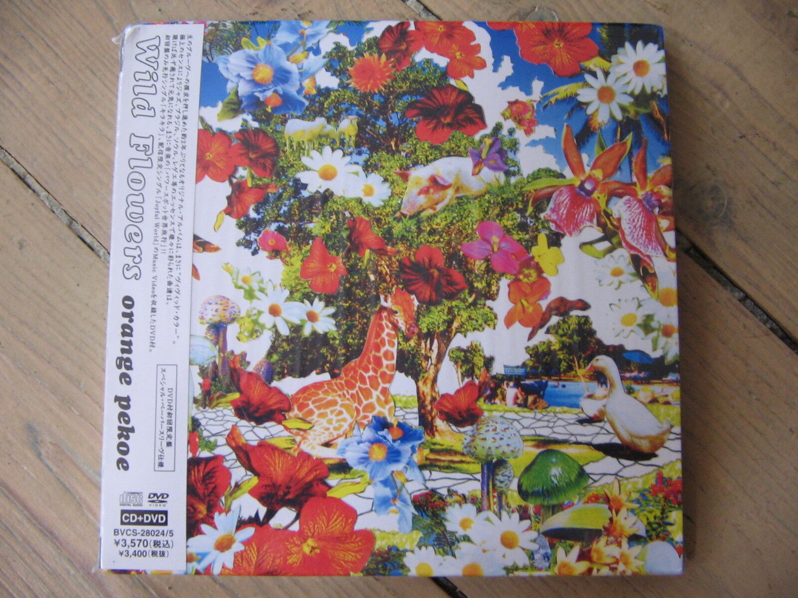 CD+DVD Digipack Orange Pekoe - Wild Flowers Import Giappone / Nuovo & Sigillato