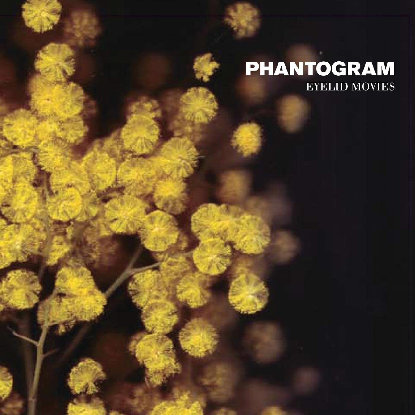 Phantogram Eyelid Movies (Vinyl LP)
