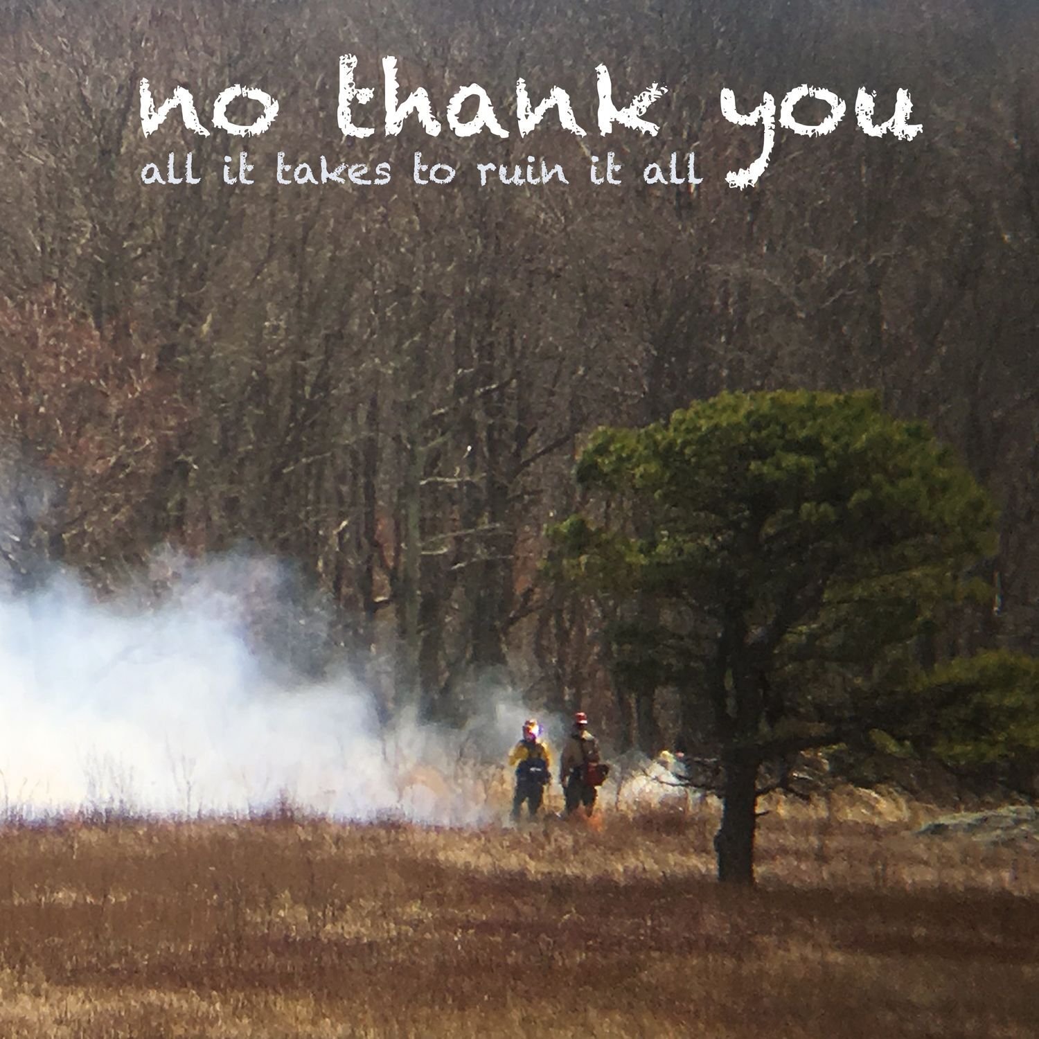 No Thank You All It Takes To Ruin It All (CD)