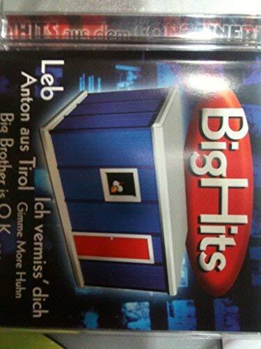 Various Artists BigHits aus dem Container (CD)