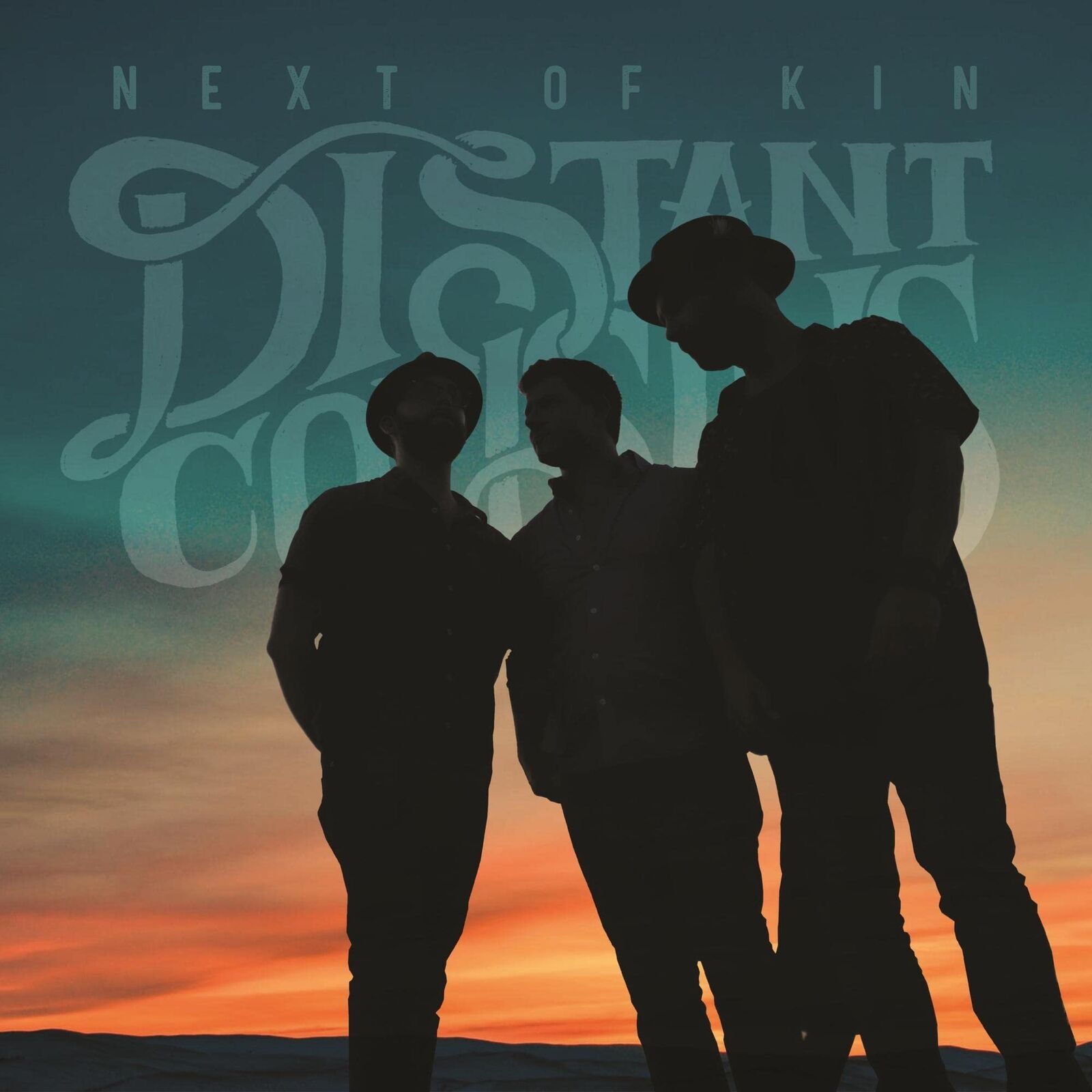 Distant Cousins Next of Kin (Vinyl LP)