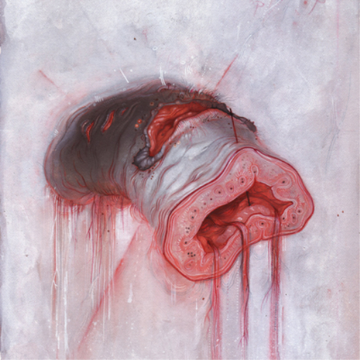 American Heritage Prolapse (CD) Album
