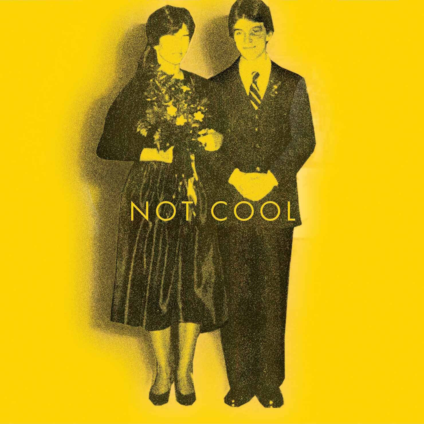Tim Easton Not Cool (CD) Album
